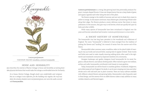 Image of Jane Austen's Garden: A Botanical Tour of the Classic Novels