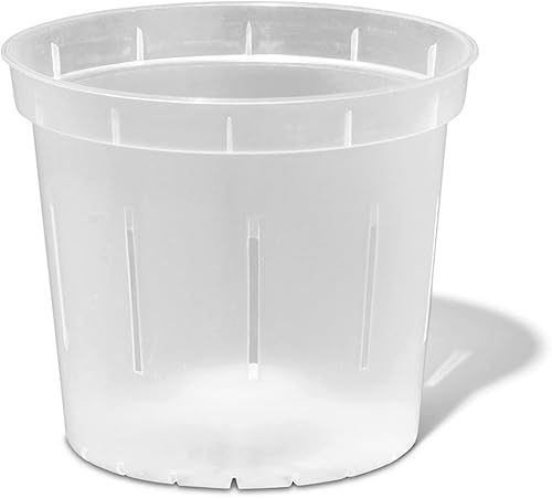 rePotme Paquete de 3 macetas de orquĂdeas de 4 pulgadas con agujeros para trasplante (transparente) rePotme Paquete de 3 macetas de orquĂdeas de 4 pulgadas con agujeros para trasplante (transparente)