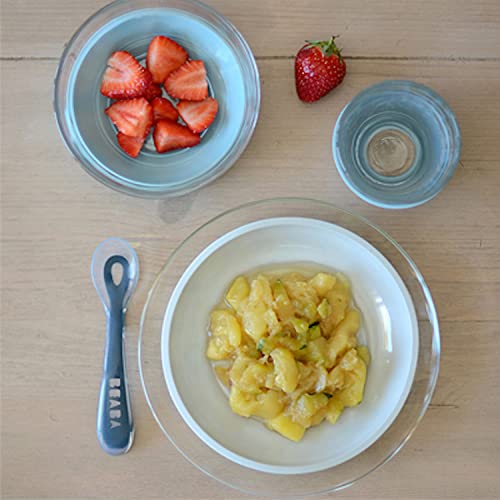 Image of BEABA 3-Piece Glass Meal Set with Suction Pad, Toddler Plate and Baby Bowls with Suction, Non Slip Kids Dinnerware Set, 2.5x Stronger than Regular Glass, (Rain)