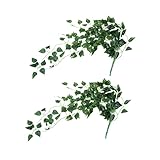 Faux scindapsus - ajoutant une atmosphère naturelle et joyeuse à votre maison