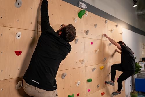 DIY Climbing Wall Panel – 47\" x 23.5\" Birch Plywood, Pre-Drilled T-Nuts, Textured & Paintable Surface – Indoor Home Gym & Kids Playroom Rock Wall Panel (Climbing Holds Not Included) (Natural) - Thumbnail 4
