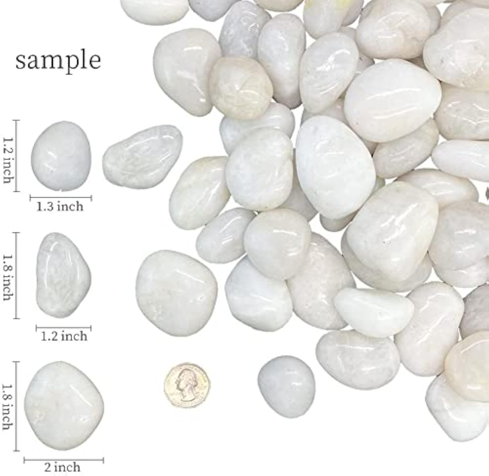 10Kg Natural Polished White Pebbles for Plants & Aquariums