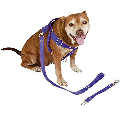 Peitoral Cachorro com Guia e Adaptador serve Pit Bull Labrador