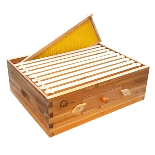 Kit de démarrage de ruche avec 10 alvéoles moyennes, butin en bois massif avec cadre en bois et fondation cirée, boîte à ruche durable, fournitures d'apiculture, maison d'abeilles, fenêtre acrylique
