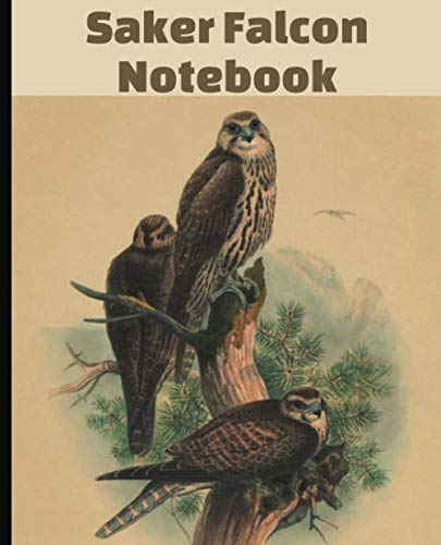 Saker Falcon Notebook: Blank College Ruled Composition Notebook