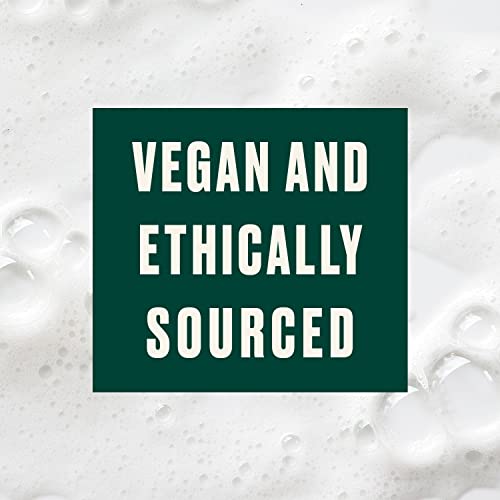 The Body Shop Moringa Shine & Protection Conditioner, For Dull Hair, Vegan, 8.4 Fl Oz #TOP2