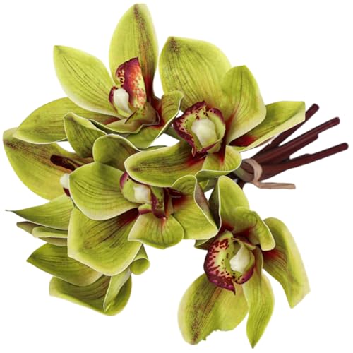 Muzrunq Cymbidium Orchid 10 Inch Lifelike Green Color Fake Orchid with Long Stem DIY Friendly Decorative Silk Flowers 6Pcs for Arrangement, Wedding, Party