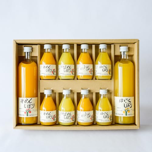 yΕ lt Mtgzɓ_ ݂W[X lߍ킹 Zbg a̎R Lc  v[g