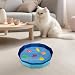 Katzen Pool 30x10cm, Faltbare Katzenpool mit 6 Fischen, Mini Pool für Katzen Hunde, Swimmingpool Welpe, Planschbecken für Katze Hundebadewanne, Minipool Hund für Sommer (A)