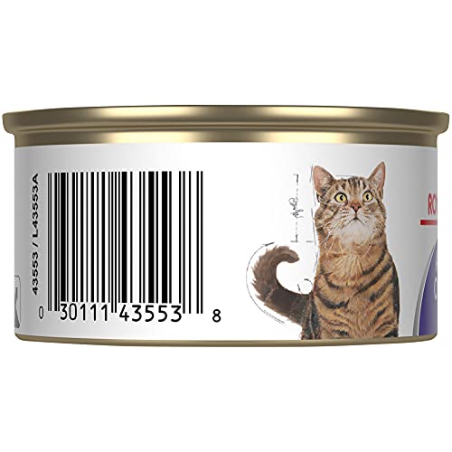 Royal Canin Feline Care Nutrition Appetite Control Thin Slices In Gravy Wet Cat Food, 3 Ounce Can (Pack Of 24) #TOP24
