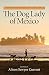 The Dog Lady of Mexico: A Heartwarming Journey into Animal Rescue