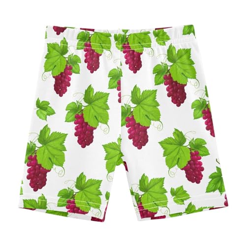 Ripe Grapes Girls Bike Shorts Toddler Under Dress Dance Shorts Girl Clothes for Dresses,4T