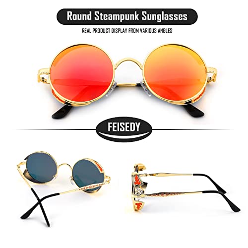 FEISEDY Retro Steampunk Polarized Sunglasses for Men Women, Round Metal Frame Gothic Vintage Style B28202