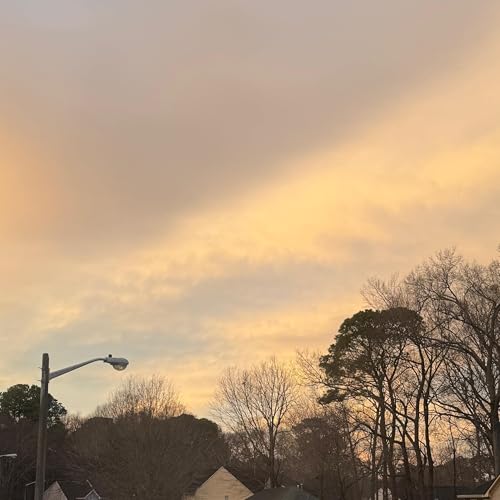 Mini-mini-Wiz on my hate of driving in hampton roads