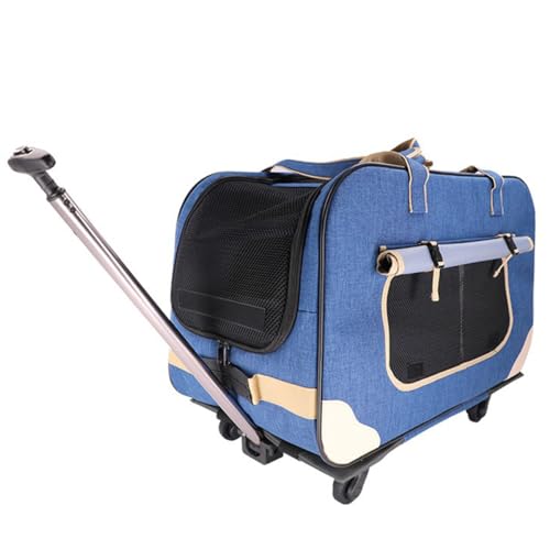 L[obO 2Cp L  œK̏d30kgȓ n[hN[gԗ֕t ܂肽ݎ ybgpL[obO ^ s ʋC Ŏgp\ (u[)