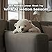 peluche de Oso Polar Blanco, 21 cm Imagen de peluche de Oso Polar Blanco, 21 cm