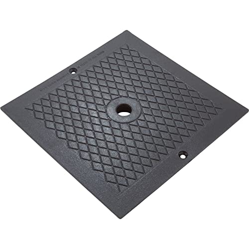 Plaque écumeur Hayward SPX1082EBLK carrée pour filtration stable