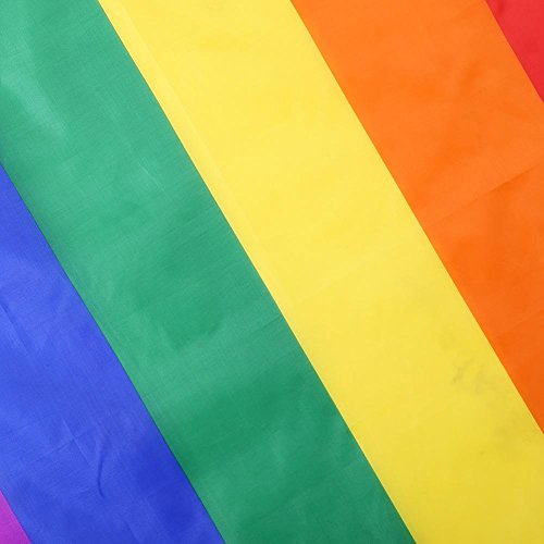 Bandeira colorida de poliéster da WinnerEco com motivo de arco-íris e paz Lgbt