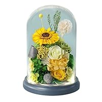 Amazon.co.jp: プリザードフラワー プレゼント ガラスドーム 母