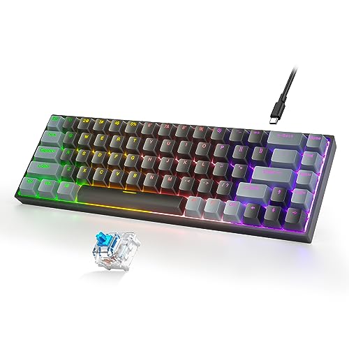 Taiahiro 60% Mechanical Gaming Keyboard, RGB Backlit 68 Keys Ultra-Compact Wired Keyboard with Blue Switch, Full Anti-Ghost, Type-C, Portable Mini Office Keyboard for PC Laptop Win/Mac, Black&Gray