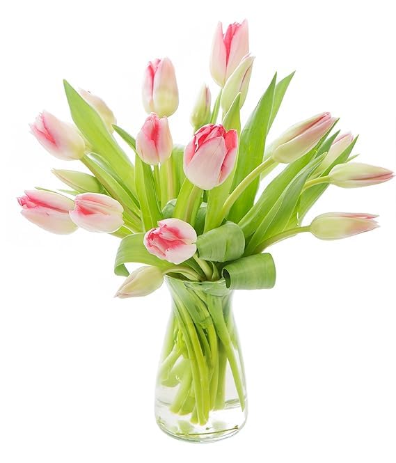 Image of KaBloom-20 Pink Tulip Bouquet,Flowers for Valentine, Mother's Day