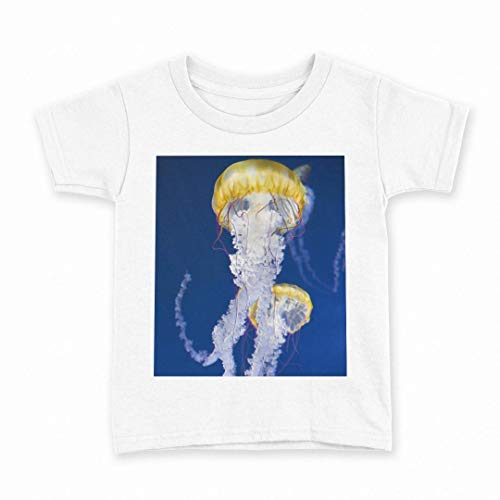 [igsticker] vg TVc LbY q 140 TCY size  N[lbN  zCg t-shirt 003306 N[ ʐ^Ei 炰 C ʐ^