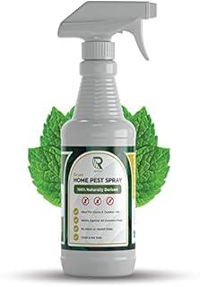 RAPIDTUFF Organic Home Pest Control Spray - Peppermint Oil - Kills & Repels, Ants, Roaches, Spiders, and Other Pests Guaranteed - All Natural - Pet Safe - (Indoor/Outdoor Spray - 16oz