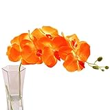 Bueno para la decoración de bodas, hogar, jardín, oficina, casa de café, etc.
