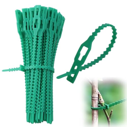 QEQSHQO 100 pièces Attaches réglables Liens de Serrage en Plastique pour Jardin Serre câbles réutilisables pour Plantes Vertes et arbustes (13cm) (vert)