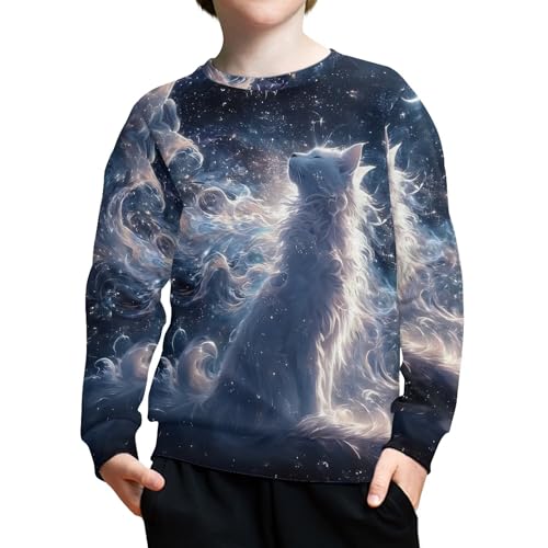 Cool Sweatshirt for Boys Winter Graphic Crewneck Sweatshirts Soft Comfy Casual Long Sleeve Fall Thick Pullover Top3