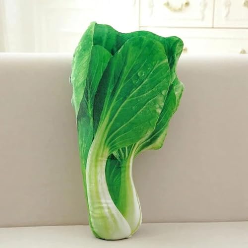 ubR[ Aʕ  NbV   Q HX G nI D a Mtg v[g NX}X 蕨 (45cm,)