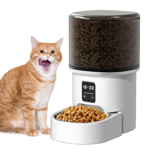 Bizcasa Comedero Gato 4L Automatico Dispensador 1-6 Comidas al DíA, Cubeta de Acero Inoxidable, Dispensador Comida con Temporizador, Dispensador Comida Gatos y Perros (Negro - Básico - 4L)