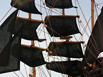 Blackbeard's Queen Anne's Revenge 20 - Wood Pirate Ship Model - Pirates of the Caribbean - Pirate Ship Decor - Wood Pirate Ship Model - Nautical Decoration - Model Ship - Sold Fully Assembled - Not A Model Ship Kit by Handcrafted Model Ships