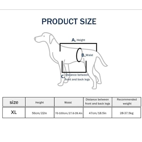 Tragehilfe Hund Treppe, Hundeliftgeschirr Mobilitätshilfen Einstellbar - Unterstützung für Mittelgroße Ältere Hunde Mit Schwachen Beinen, Chirurgie Rehabilitation (XL)
