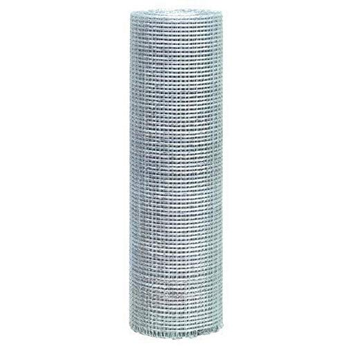 Vigor-Blinky Red Lechada cameracanna