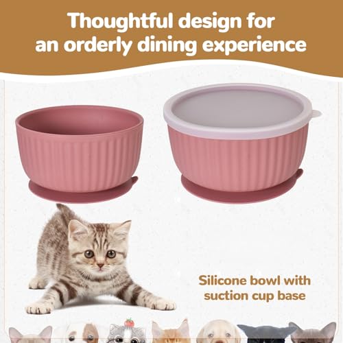 3 Stück Silikon Katzennäpfe mit Deckel, rutschfeste Saugnapf Futternäpfe Set, für Kätzchen und Kleine Hunde, Mikrowellen Spülmaschinenfest, Gestreiftes Design Haustiernäpfe