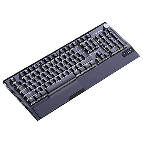 Kingkun Real Mechanical Keyboard Cyan Black Axis,with Hand Rest, Dustproof Ergonomic Aluminum Alloy RGB Backlit Blended Light Wired Quiet Gaming Keyboard with Hand Rest 104 Keys for E-Sports