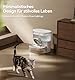 FEELNEEDY Katzenbrunnen Kabellos|Trennung von Frisch und Abwasser|Ohne Filterwechsel, Trinkbrunnen für Katze mit Akku 2000mAh, BPA-freien Wasserspender Leise, Tränken aus Edelstahl, Tank Weiß