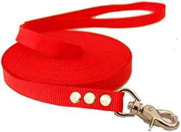 Amazon 中型犬 国産 ロングリード 5m ノーマル 持ち手カバーセット トップワン レッド Topwan リード 通販 Amazon 中型犬 国産 ロングリード 5m ノーマル 持ち手カバーセット トップワン レッド Topwan リード 通販