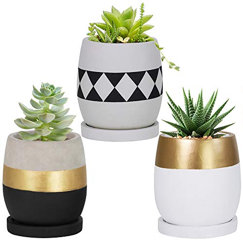 4-Inch Cement Succulent Planter Modern Flower Pots Mini Planter Indoor for Cactus Herb or Small Plants, Set of 3 (4 inches)