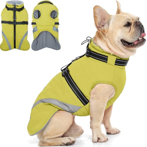 QBLEEV Dog Coat for Small Dogs, Waterproof Dog Jacket with Built-in Harness, Puppy Cold Weather...