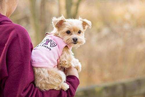 Parisian Pet Dog Cat Clothes Tee Shirts Xoxo T-Shirt, Xs #TOP5