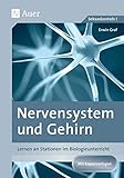  Nervensystem und Gehirn: Lernen an Stationen im Biologieunterricht (8. bis 10. Klasse) (Lernen an Stationen Biologie Sekundarstufe)