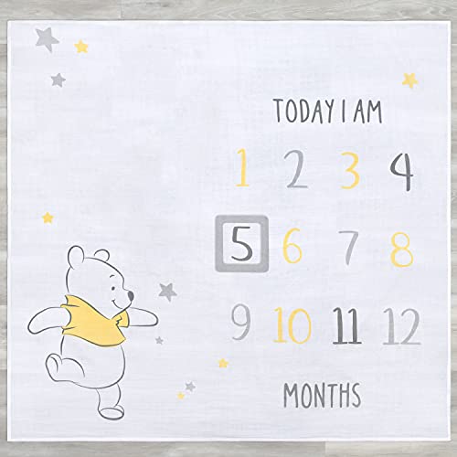Image of Disney 2-Pack Baby Neutral Pooh Milestone Blanket & Moveable Frame Set