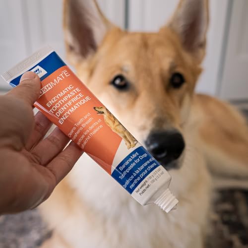 Image of Enzymatic Toothpaste for Dogs Banana Mint by Paw Ready|Cleans Teeth and Freshens Breath|Safe for Puppies, Clinical Care (3.5oz)