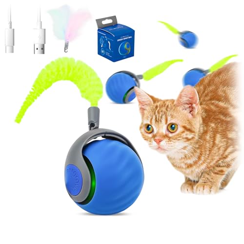 VMUTGA Jeux pour Chat, Jouet Chat Interactif, Jouet Balle Interactif pour Chat, Jouet Balle Interactif pour Chat pour Chiens et Chats de Petite et Moyenne...