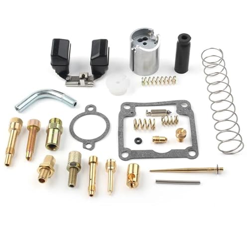 Kit réparation carburateur Dellorto PHBG 19 17.5 mm pour stopper fuite essence