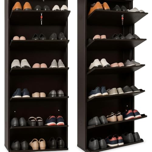 Image of Skywave Luxury Wall Mounted Metal Shoe Rack for Home - 5 Shelf, Holds Up to 25 Pairs | Central Locking Shoe Cabinet | Space Saving | Heavy Duty Steel | 3 Year Warranty (Coffee Brown, 26 Inches)
