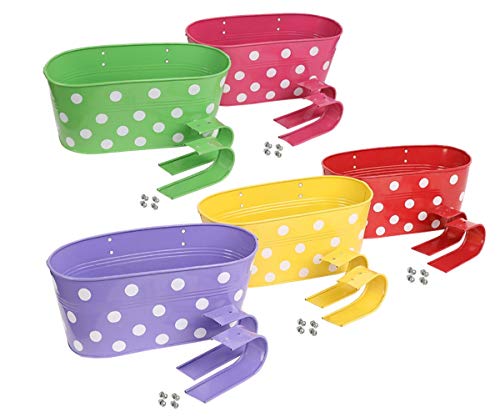 Leafy Tales Muticolor Metal Rust-Free Hanging Planter - Set of 5 (Oval - Red, Green, Yellow, Pink, Purple), 30 cm x 15 cm x 14 cm