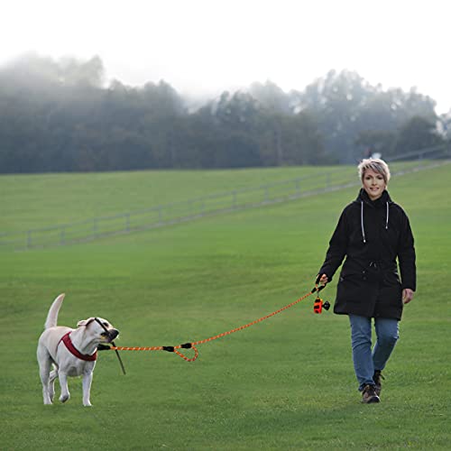 Image of PLUTUS PET Rope Dog Leash 6ft Long,Traffic Padded Two Handle,Heavy Duty,Reflective Double Handles Lead for Control Safety Training,Leashes for Large Dogs or Medium Dogs,Dual Handles Leads(Orange)